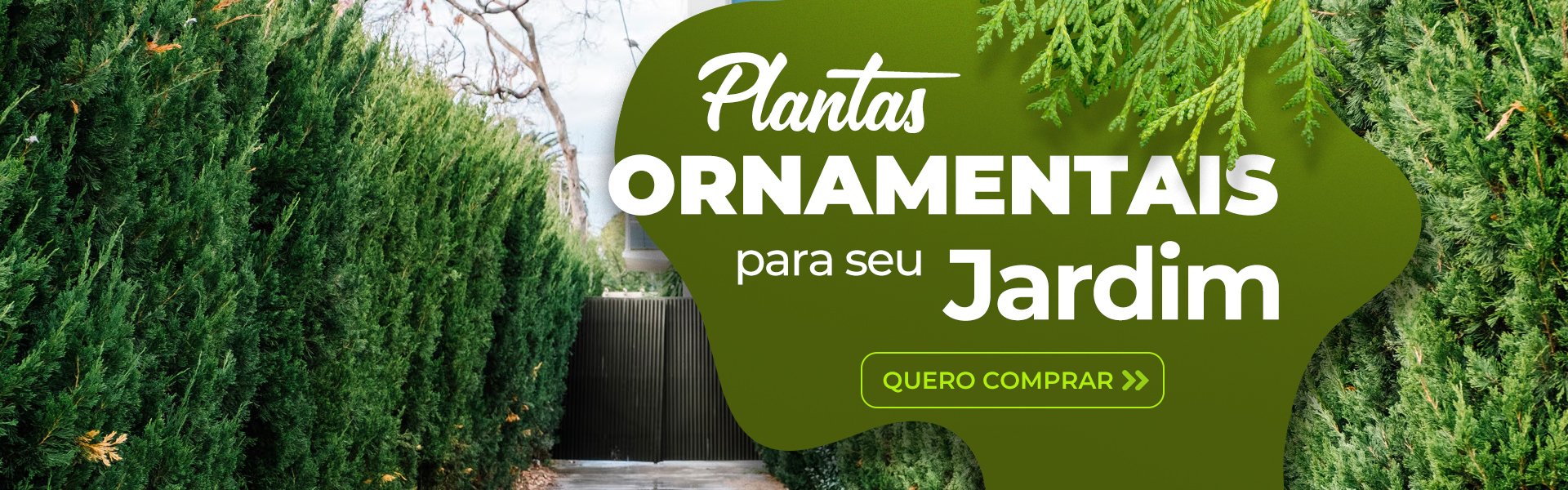 banner sitio principal ornamentais